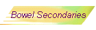 Bowel Secondaries