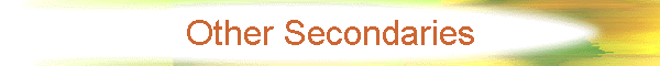 Other Secondaries